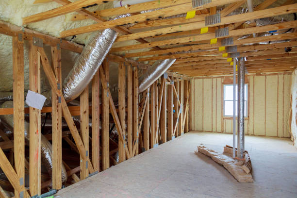 Best Insulation Replacement Services  in Ohkay Owingeh, NM