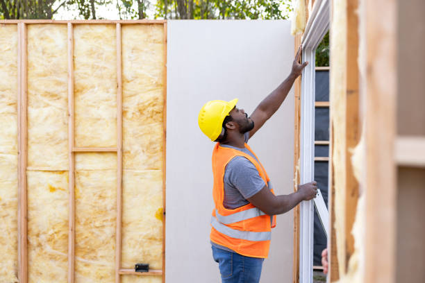 Best Residential Insulation Services  in Ohkay Owingeh, NM